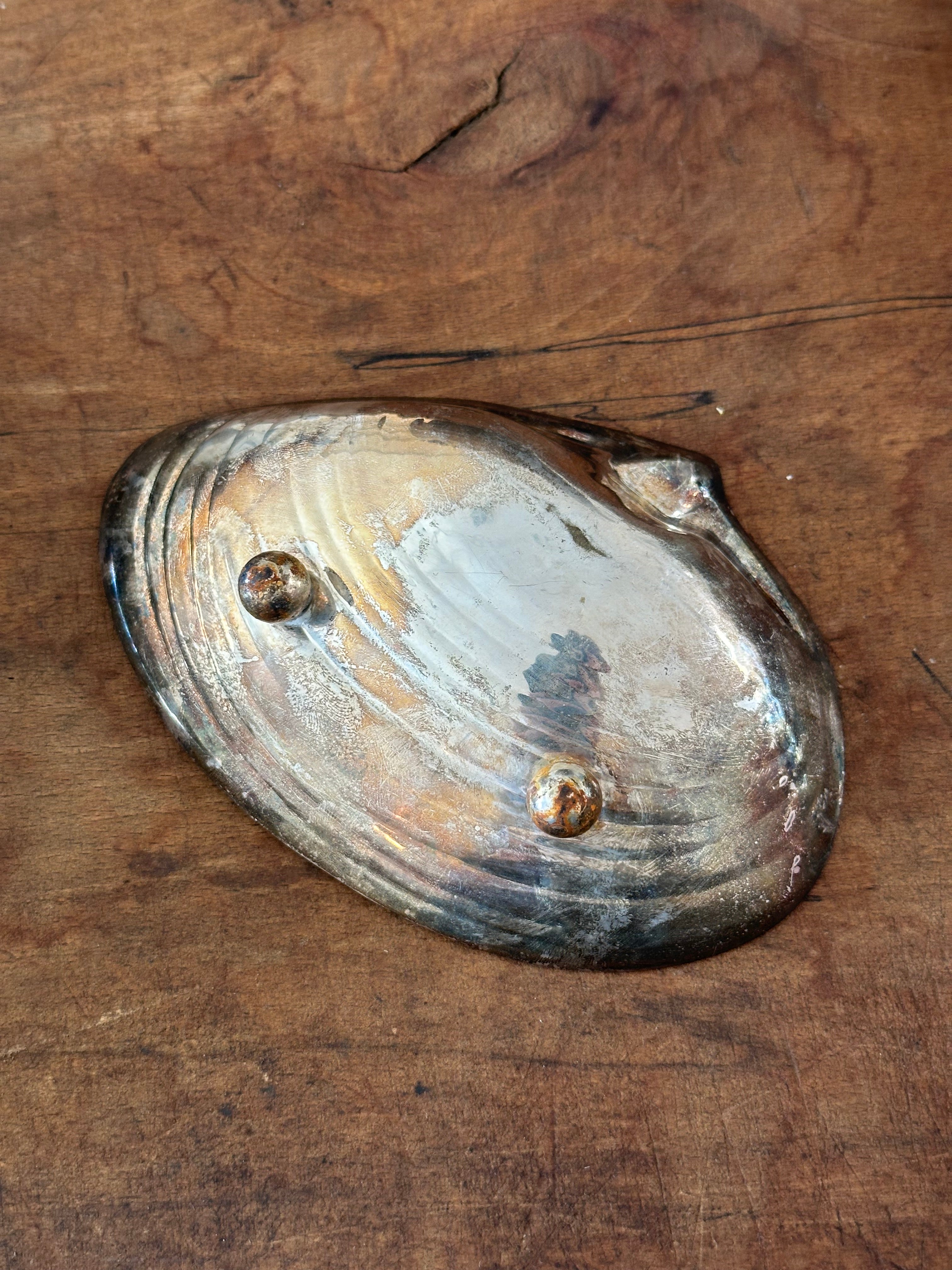 silver shell dish