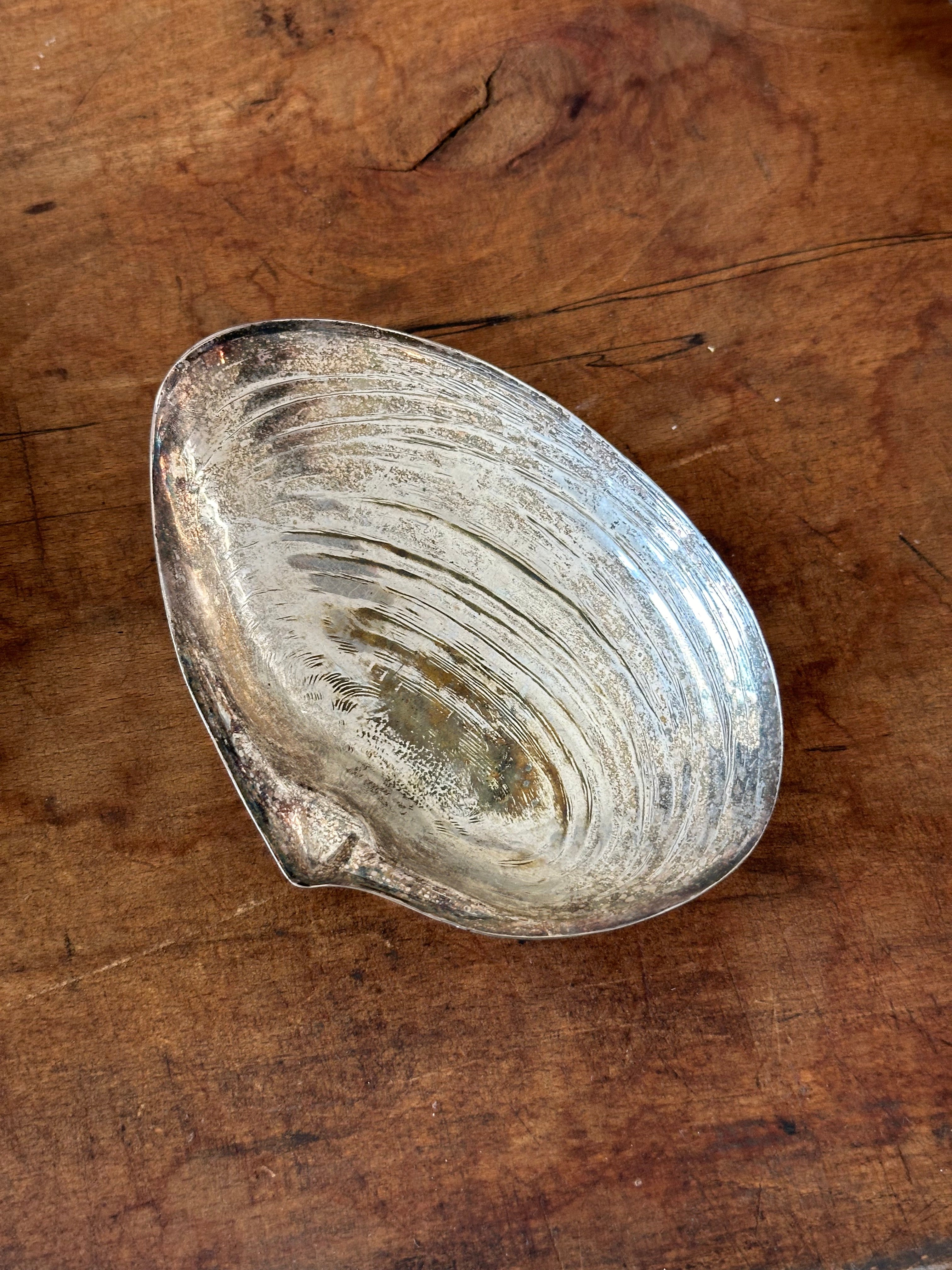 silver shell dish